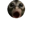 PogMBounce
