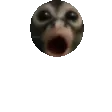 PogMBounce