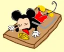 5622trappedrat