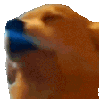 dog_jam Discord emoji