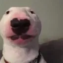 e_oicasadaTKF