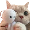 1883cattobighug