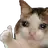 FZ_ok_cat Discord Emoji