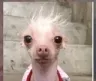 como
