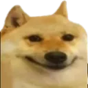 dogsmile
