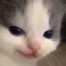 evil