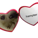 Hampter