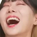 Dongkek