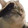 CatSalute CatSalute