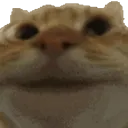 yescat