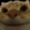 YepCat