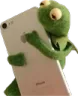 kermithug