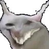 megawesh