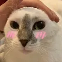 my_fluonctious_ass