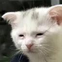 emoji_13