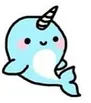 narwhal