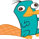 perry_platypus