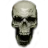 SkullWHAT