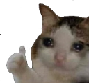 :sadcatthumbsup: