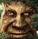 wiseTree wiseTree