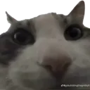 wiresv2