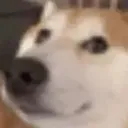 Pk_MurtuFurro Discord Emoji