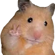 hamsterpeace