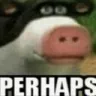 perhaps