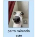 e9025ff0a6f943eaaa78eb2f565c1a61