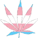 BC_TransWeed