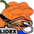 LIDEX