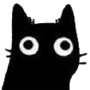 void