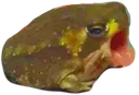 FrogLick Discord Emoji