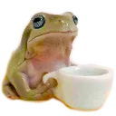 PensiveFrog Discord Emoji