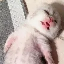 ban_dedinurlove