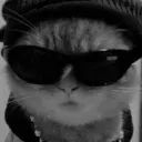 FPS_cat Discord Emoji