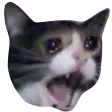 NOOO