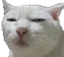 suscat
