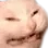 scrung scrung