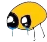 wahttjefuck wahttjefuck