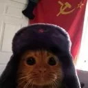 Sovietcat SovietCat Discord Emoji