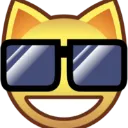Lsunglasses