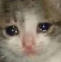 sadcat sadcat