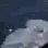 fishe_7 fishe_7
