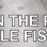 fishe_23 fishe_23