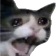 aimiroCatscream Discord Emoji