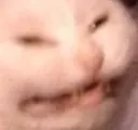 565310538532388879