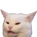 confusedkads