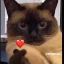 Catheart catheart Discord Emoji