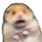 scaredrat